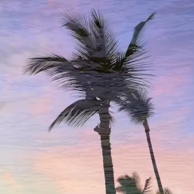 Last Sunset