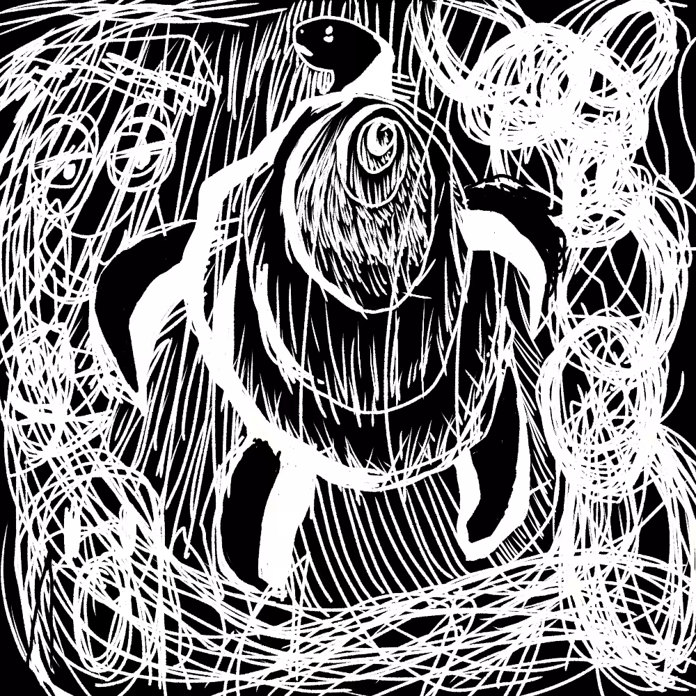 Turtle in the sorrow