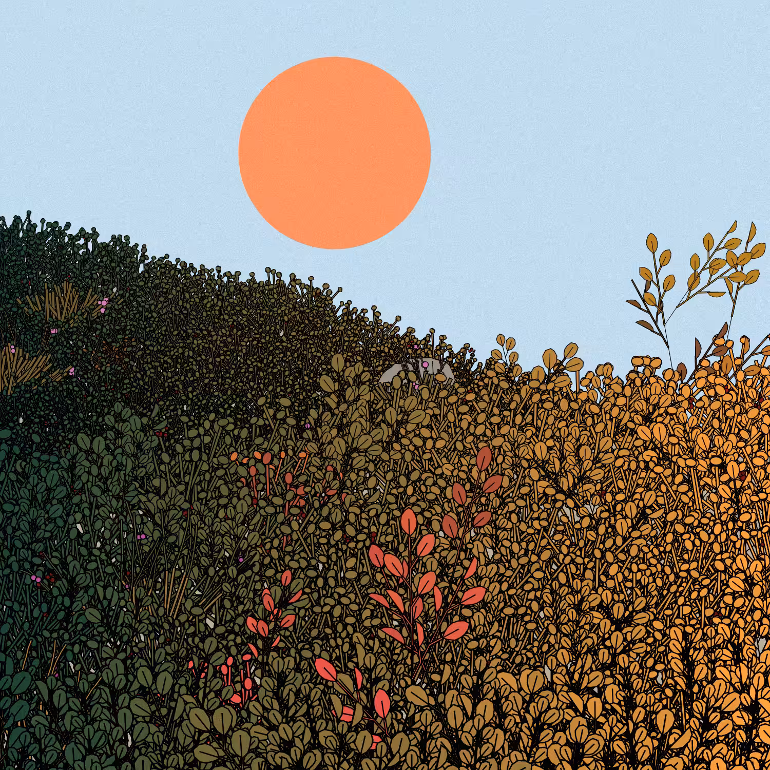 Swedish Forest #290