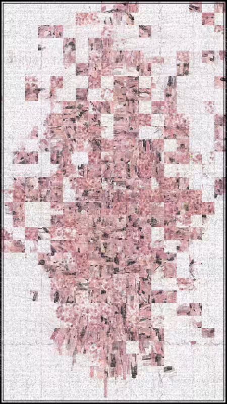 (No)Color #24