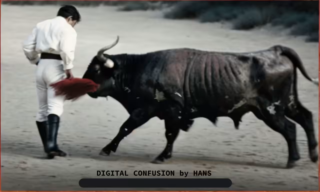 DIGITAL CONFUSION