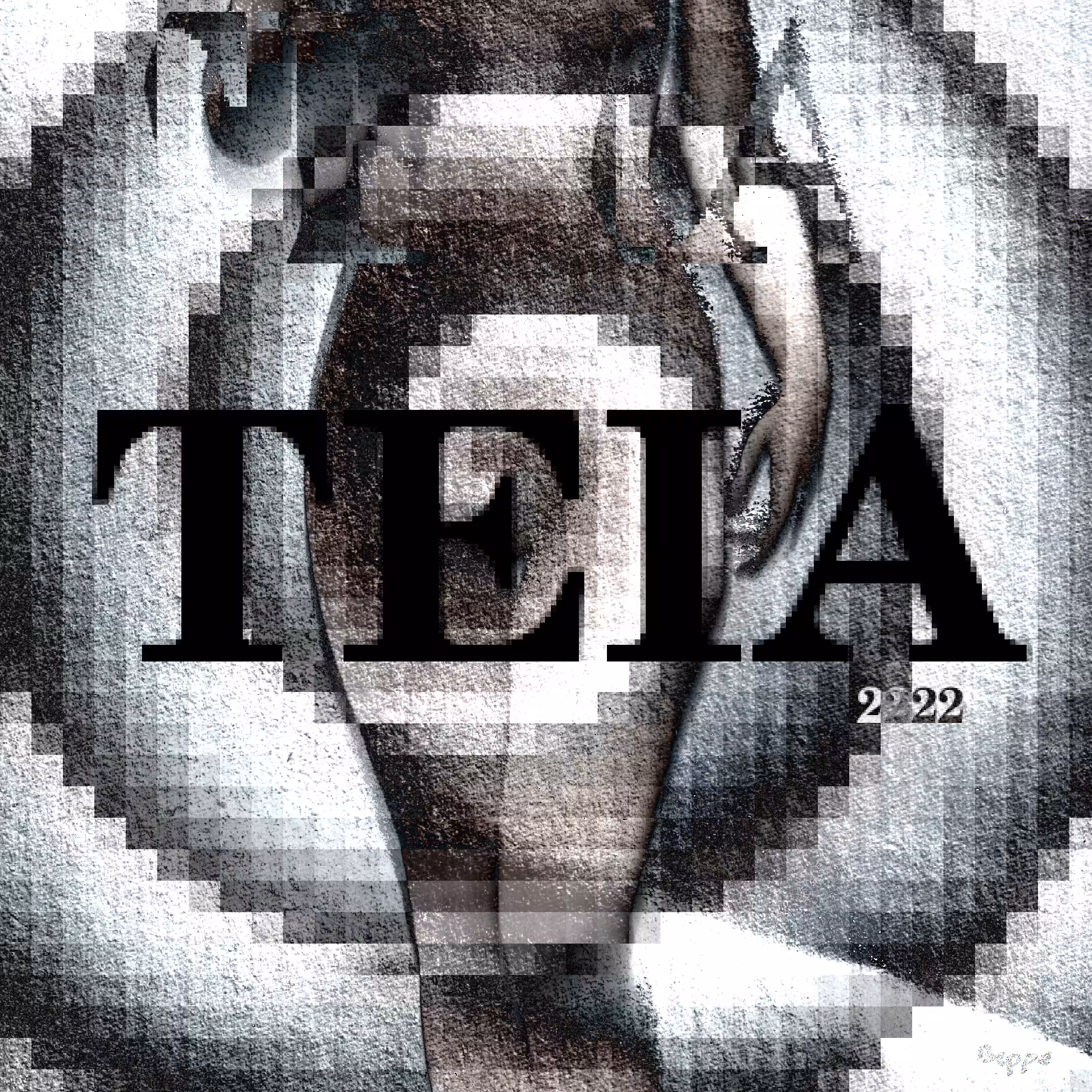The birt of TEIA