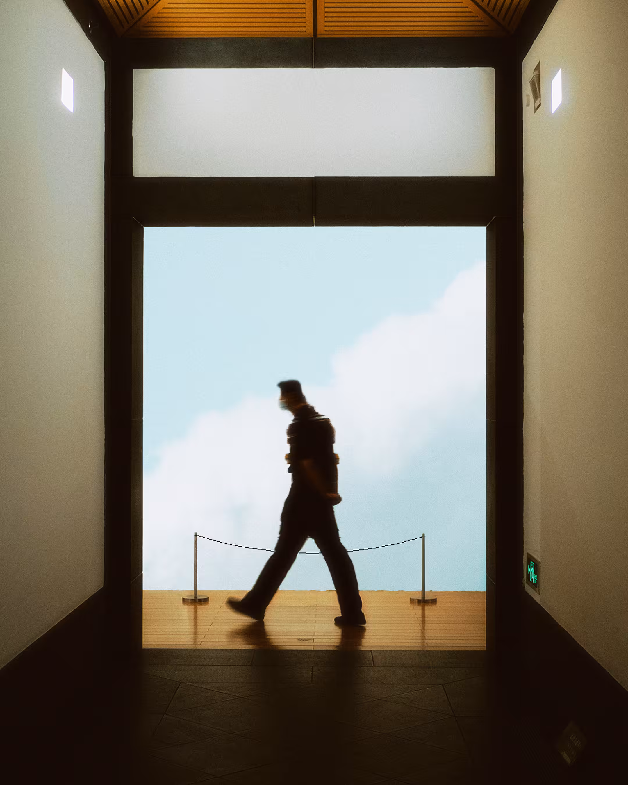 The Curator
