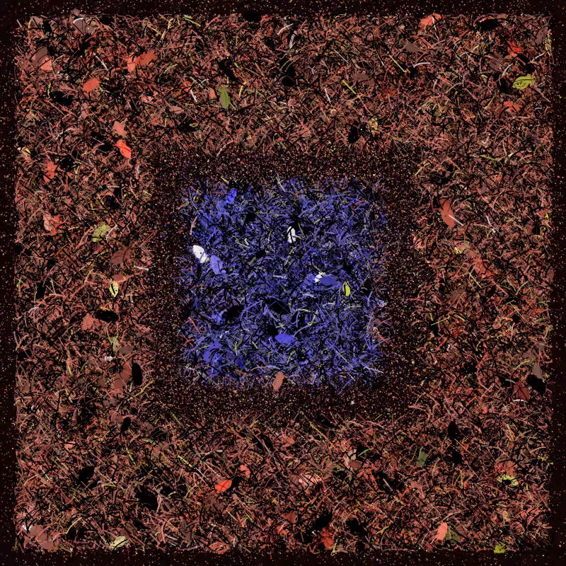 Into the Forestland #74
