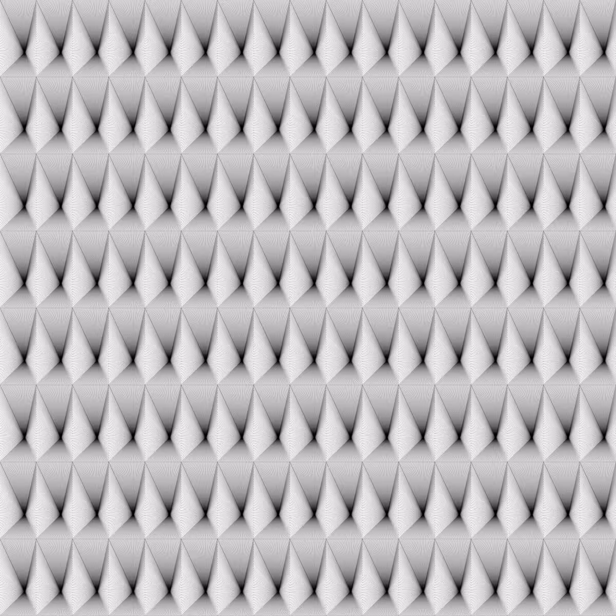 Noir et Blanc #78