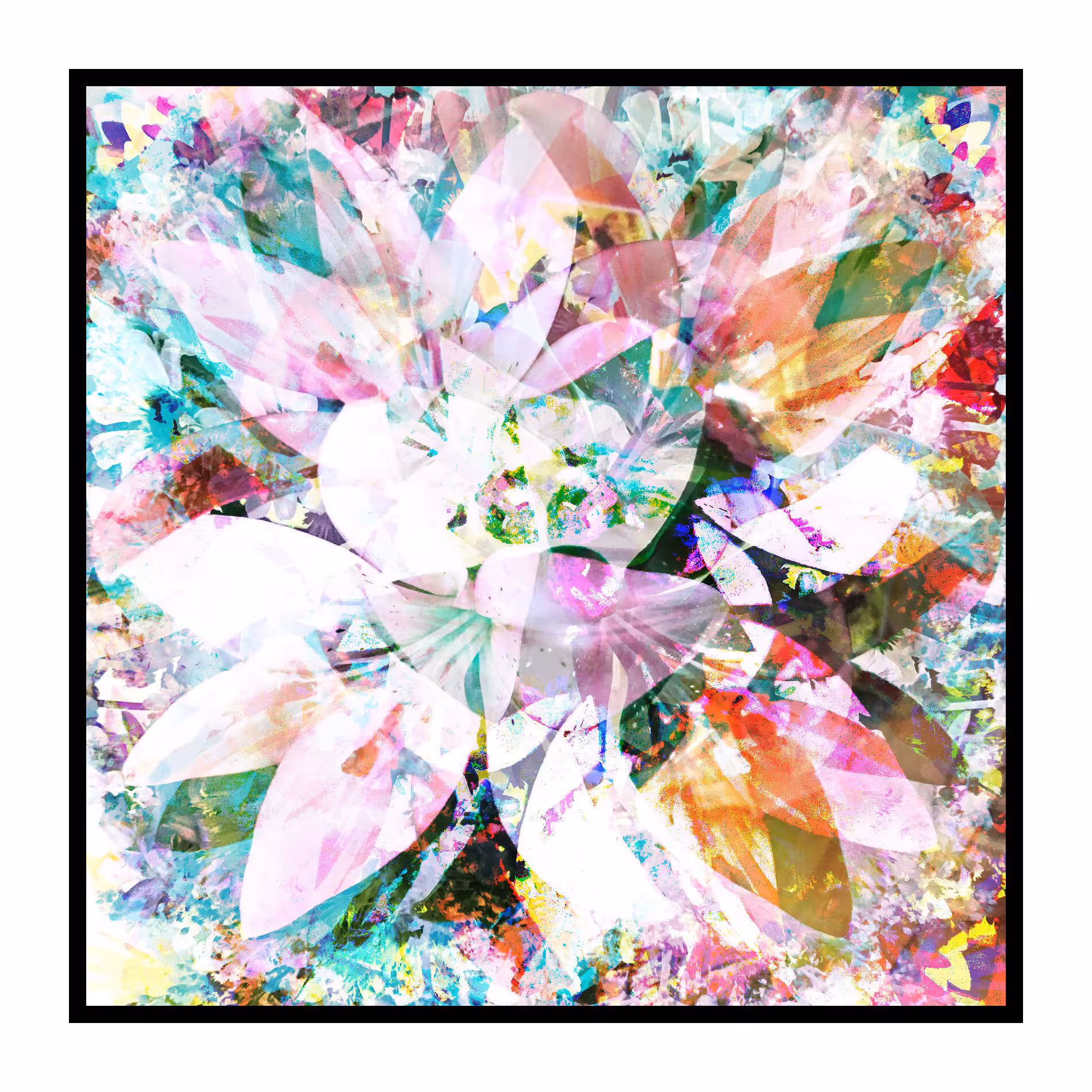 Be Kind: Lily