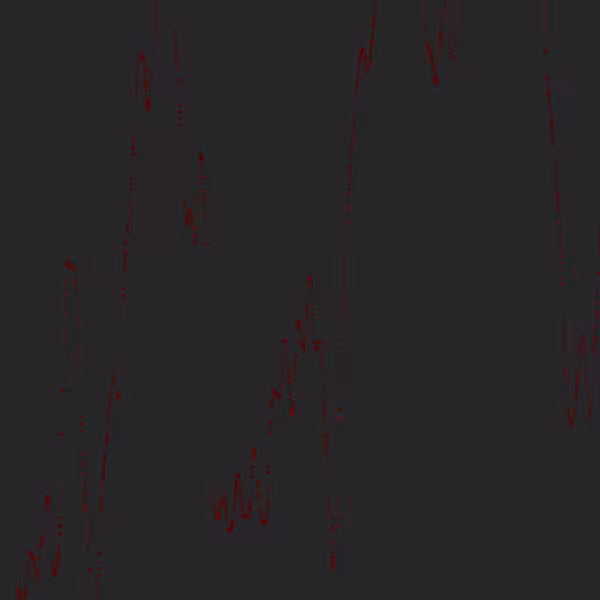 ANIMUS #15