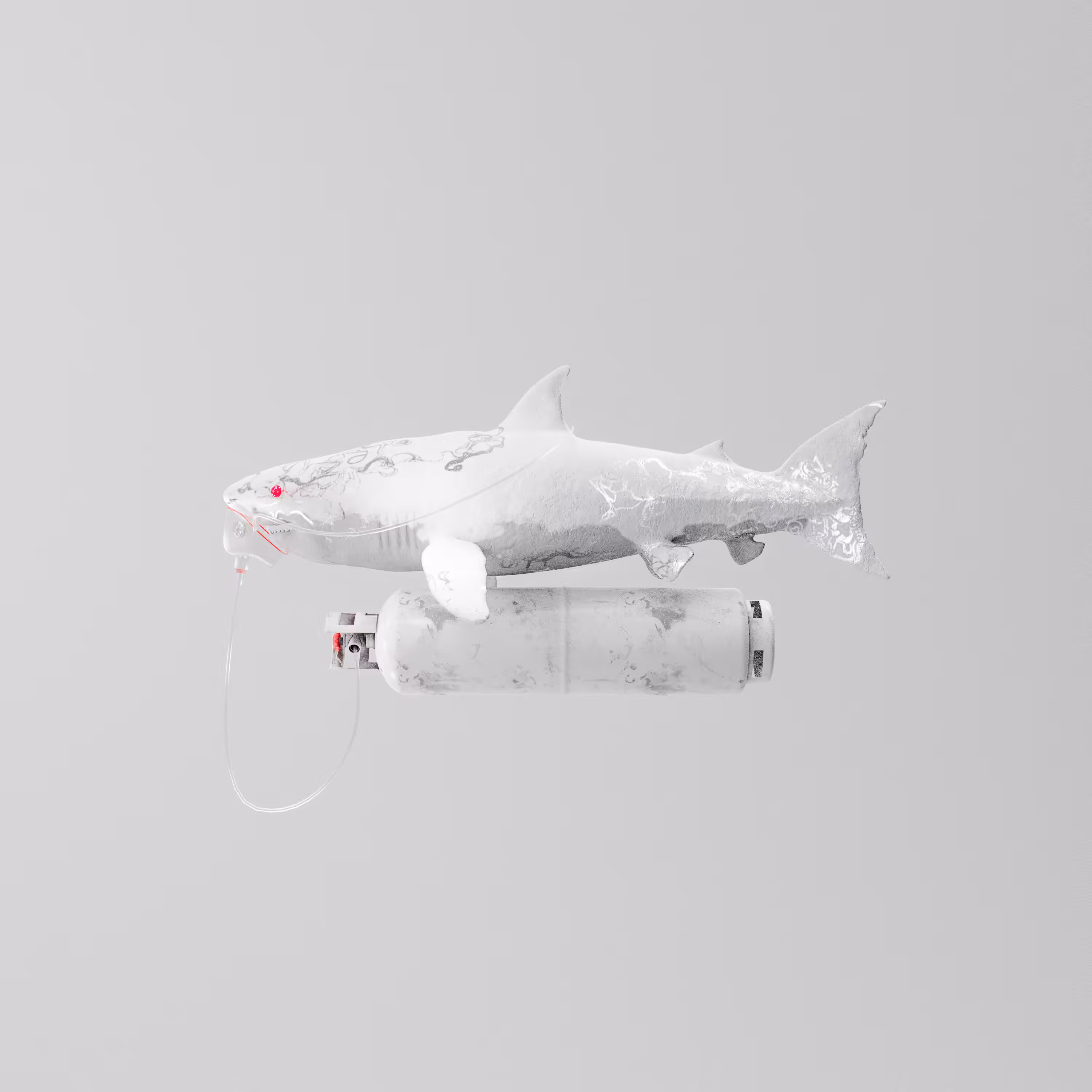 Non Fungible Shark [BLANK]
