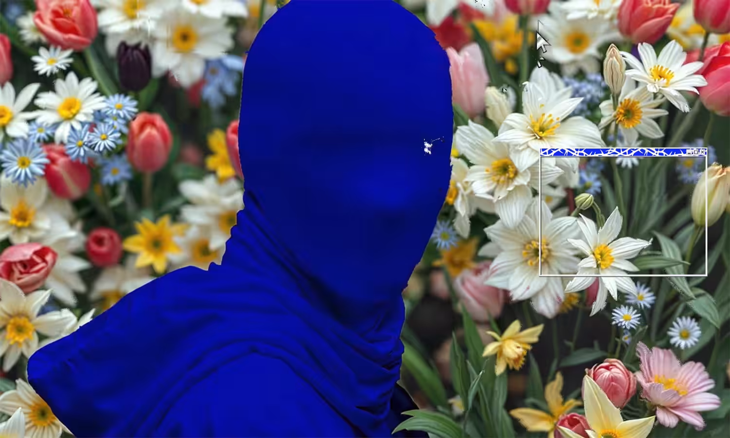 Narcis.sys