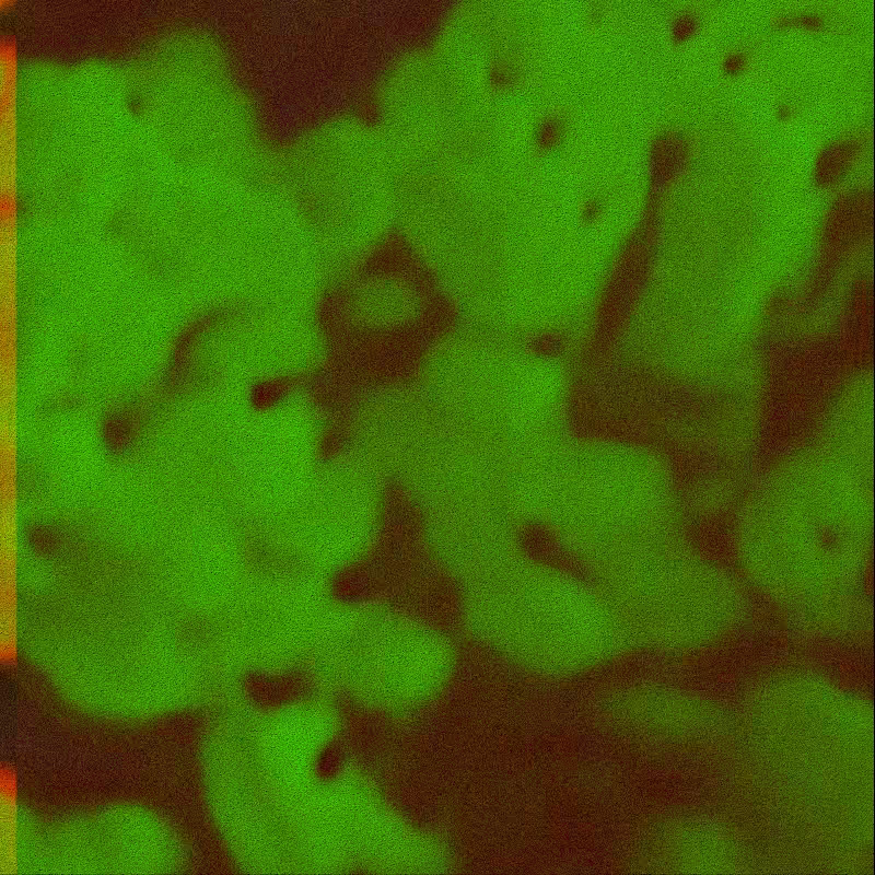 CLDCSMC #41