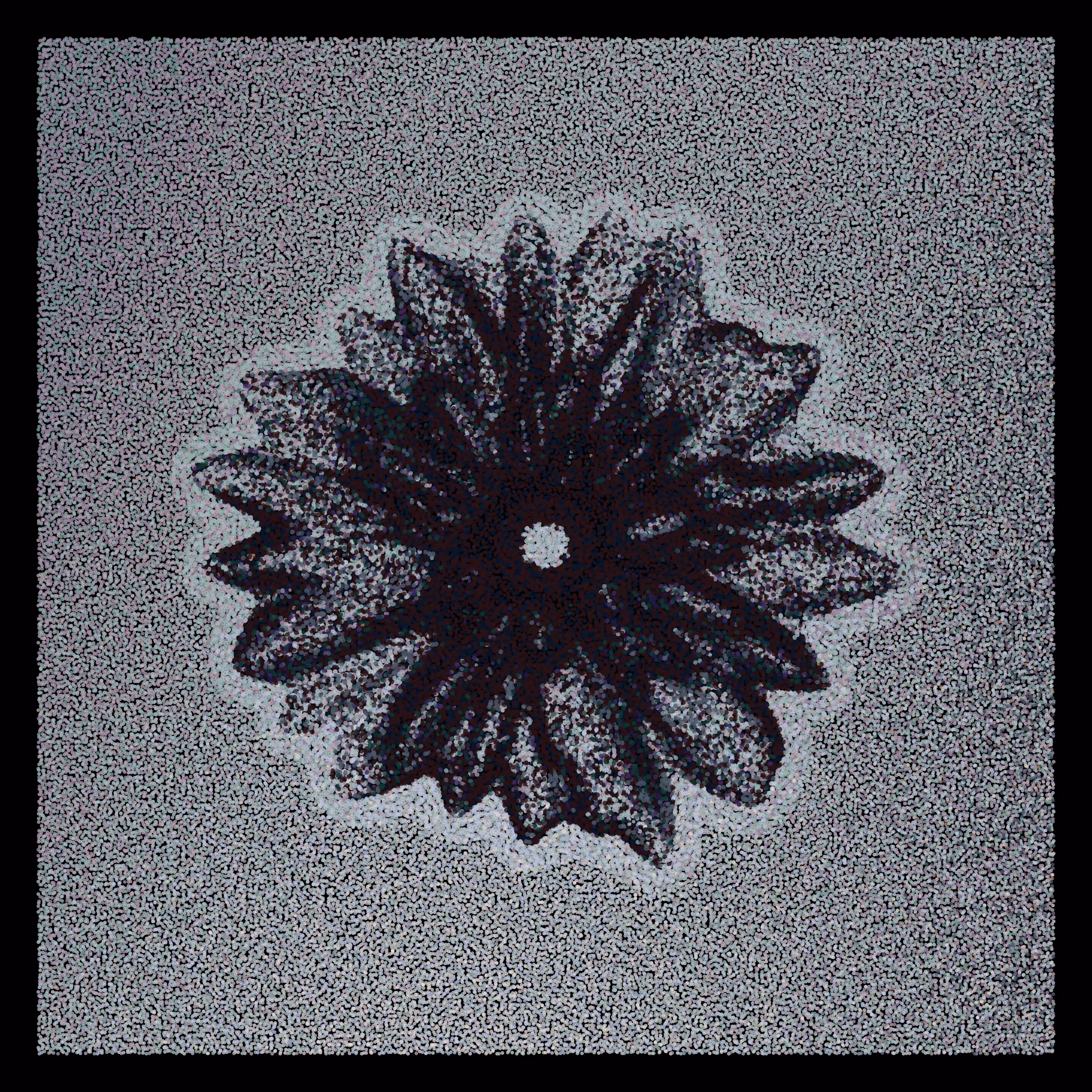 Flower Portrait #50