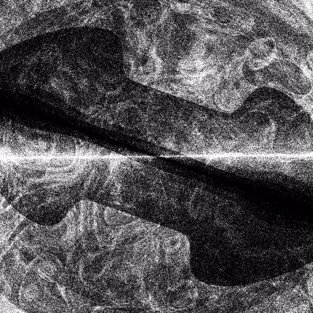 Noise #594 