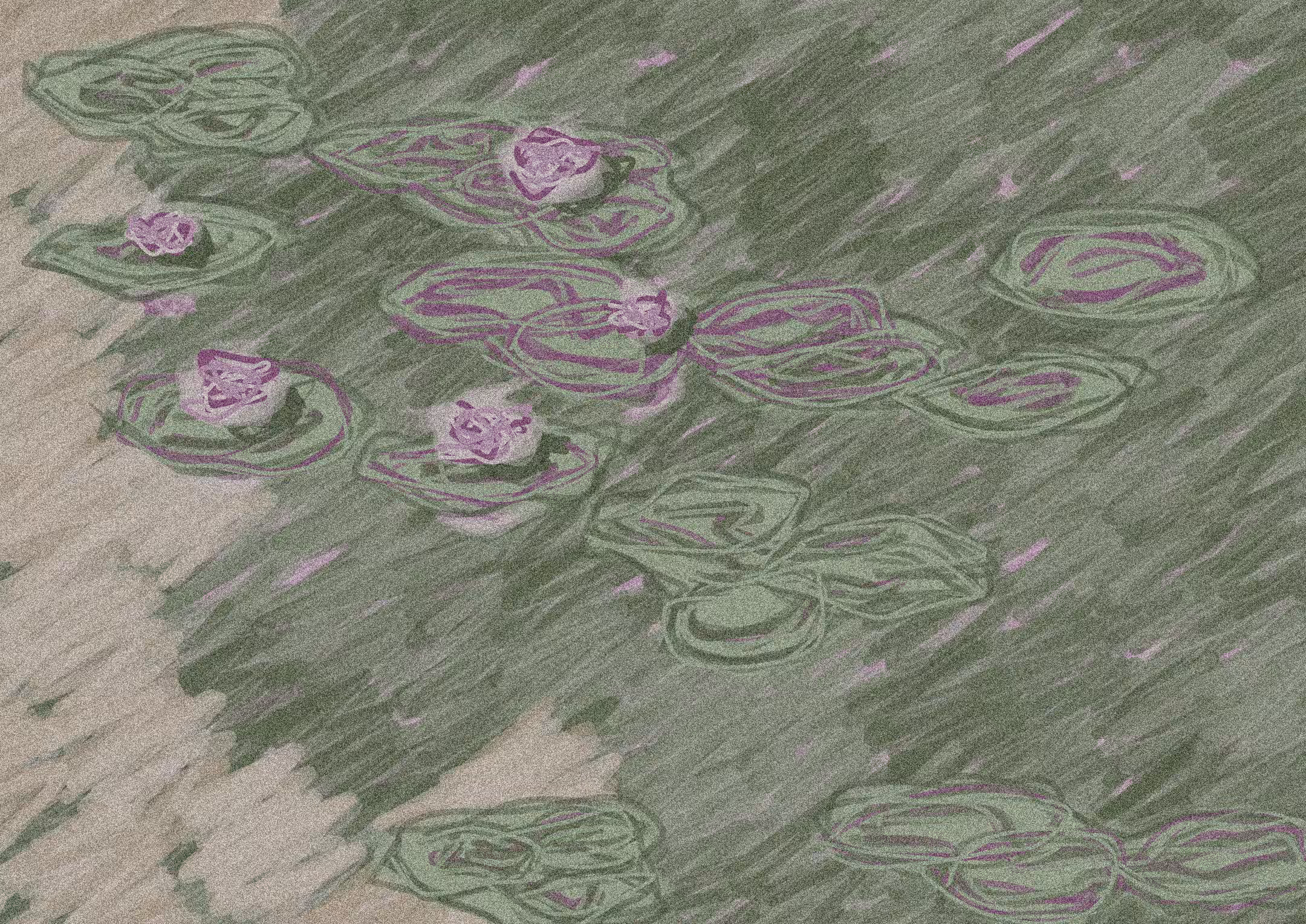 Water Lilies #12