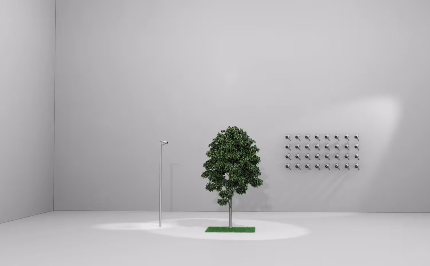 Tree Surveillance