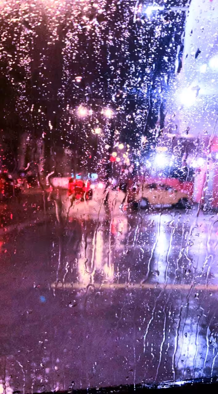 Mistly_5