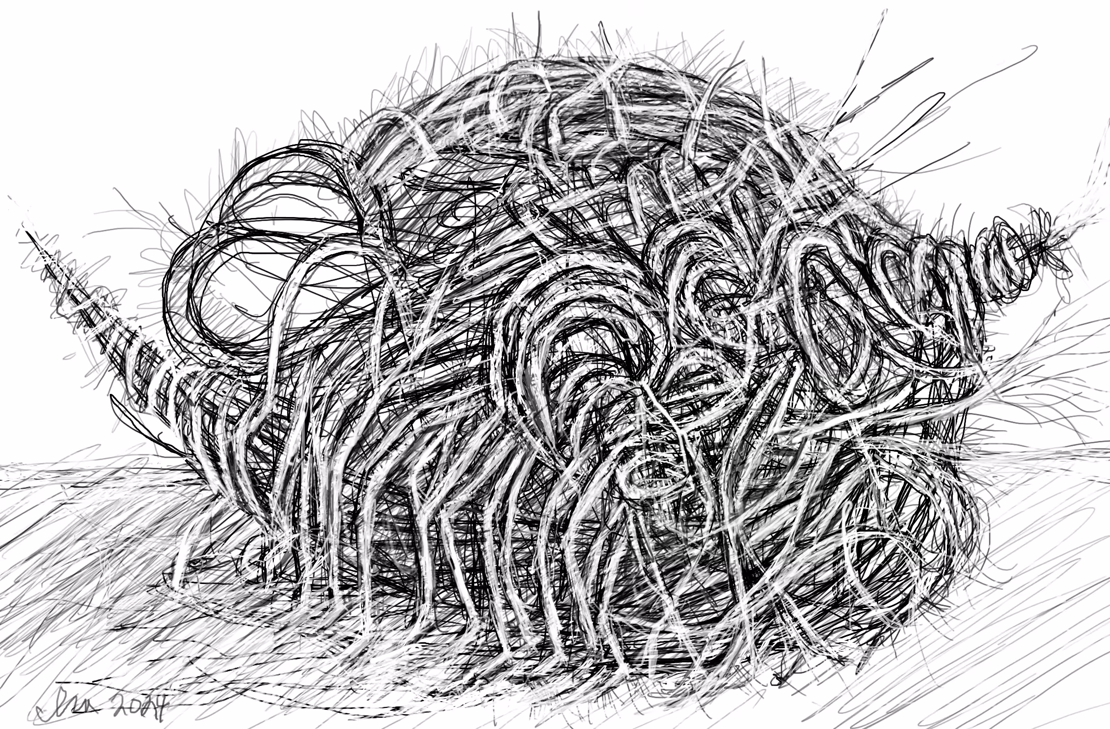 Emergent Anatomy.12.24.24