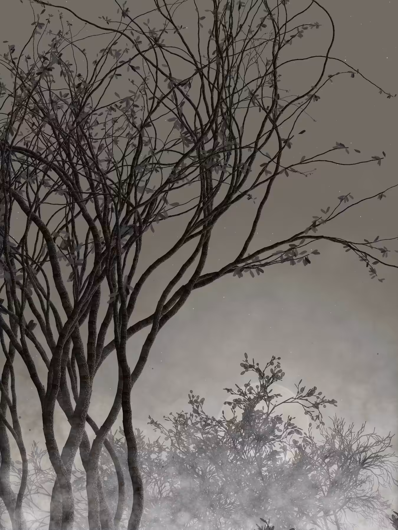 Morning Mist #265