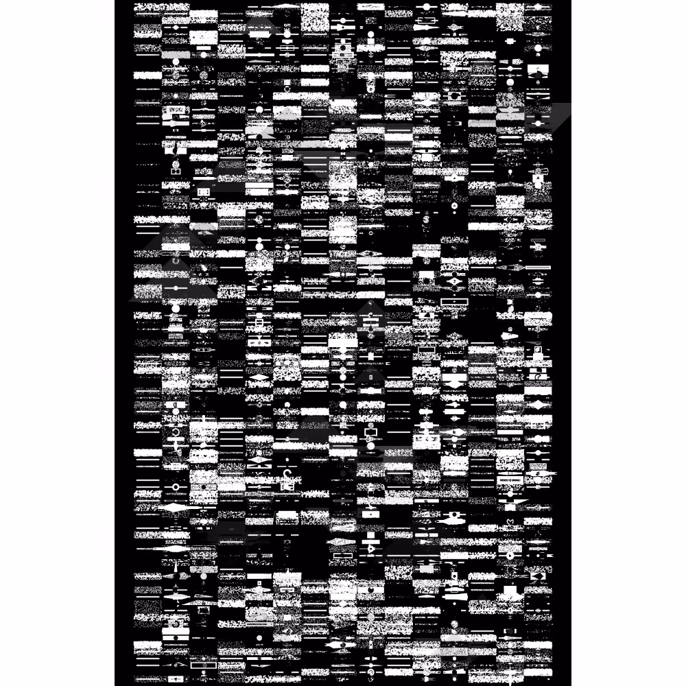 Etude B&W #361