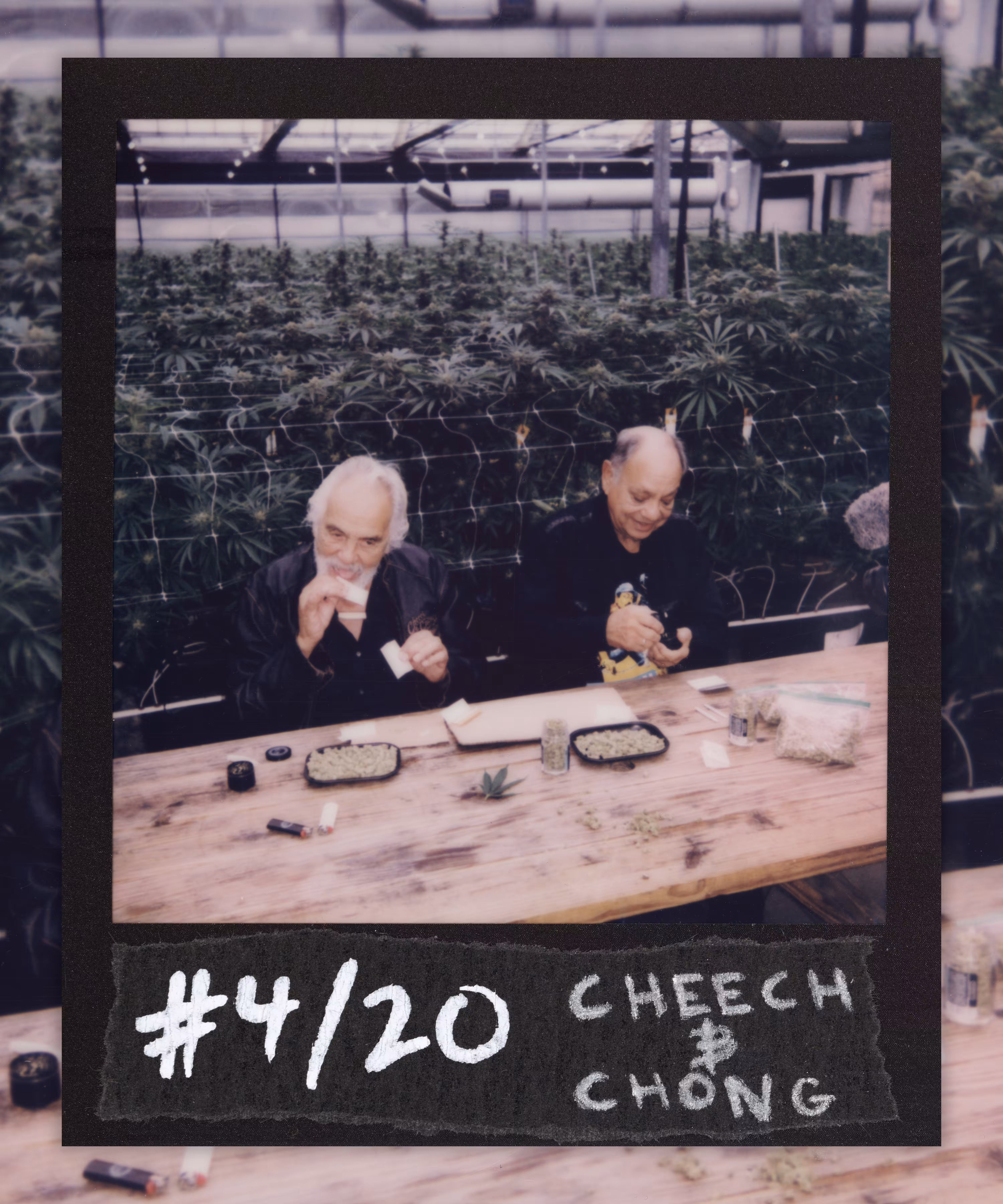 #4 /20 Cheech & Chong