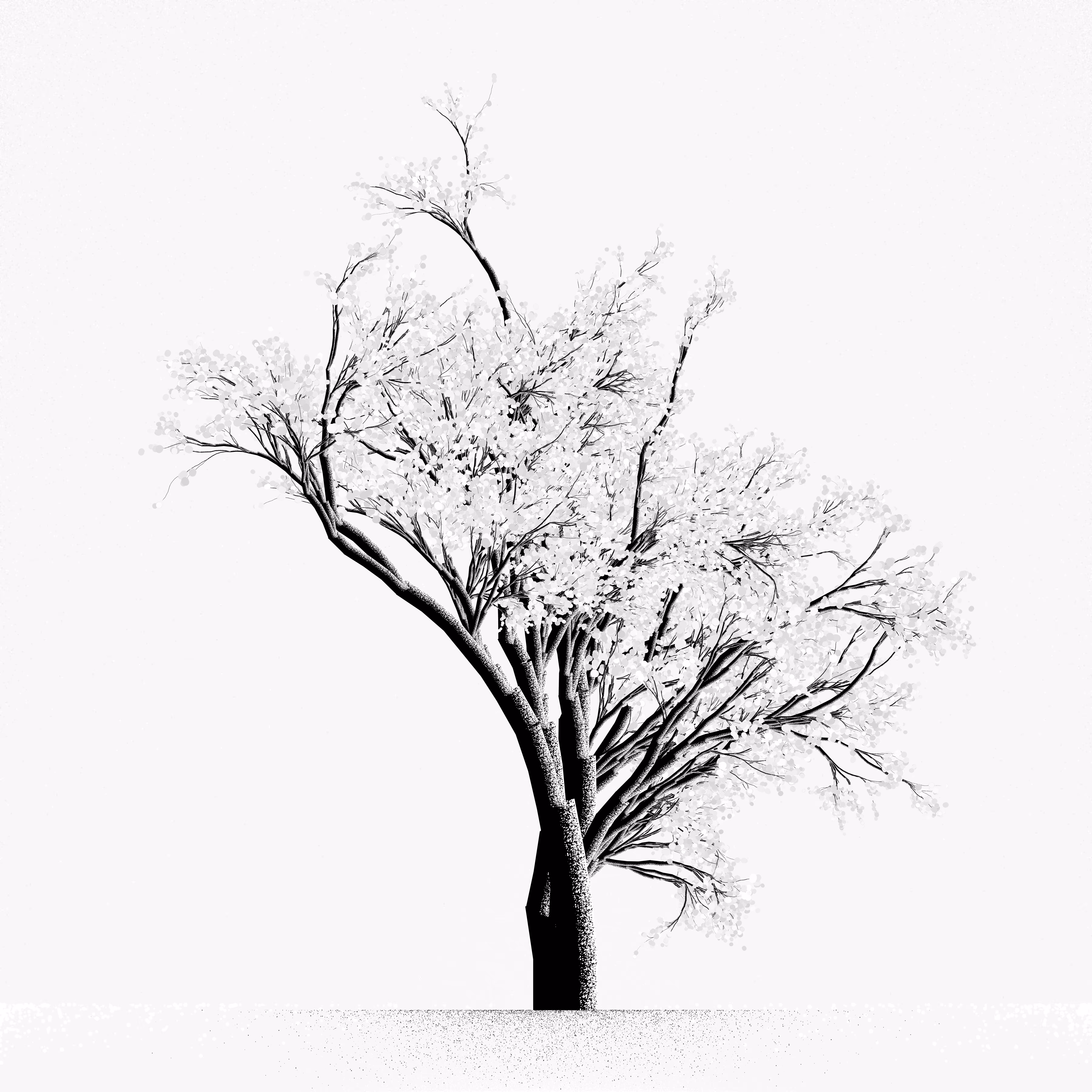 Snow Tree #13