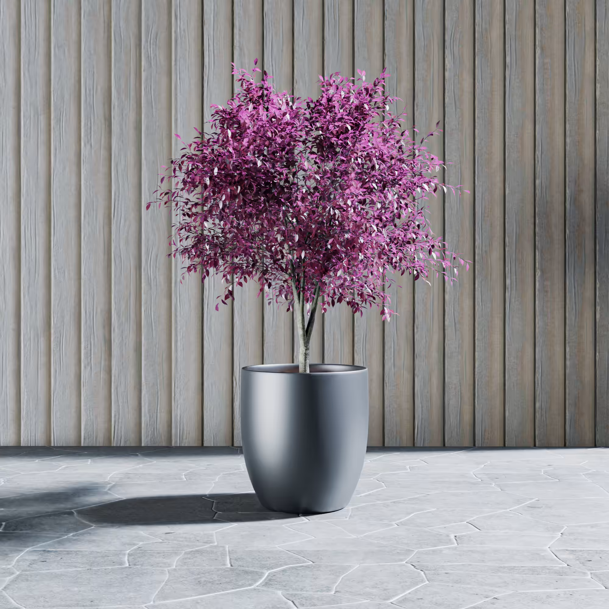 MyPlants #4