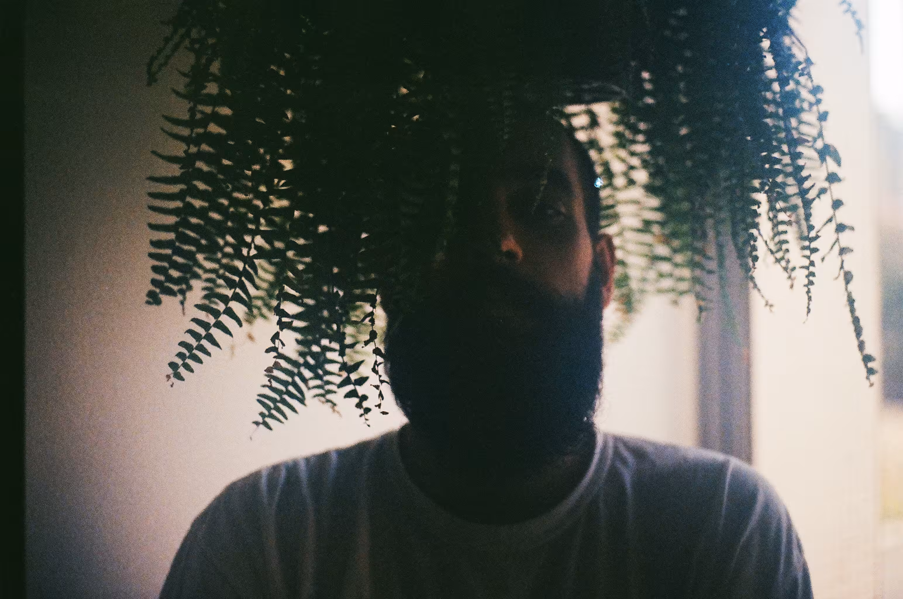 bino