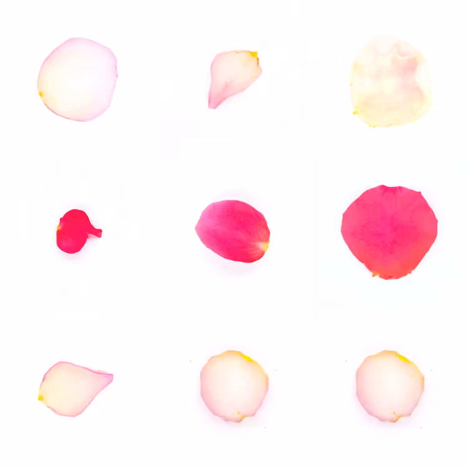 Infinite Petals 3x3#3318