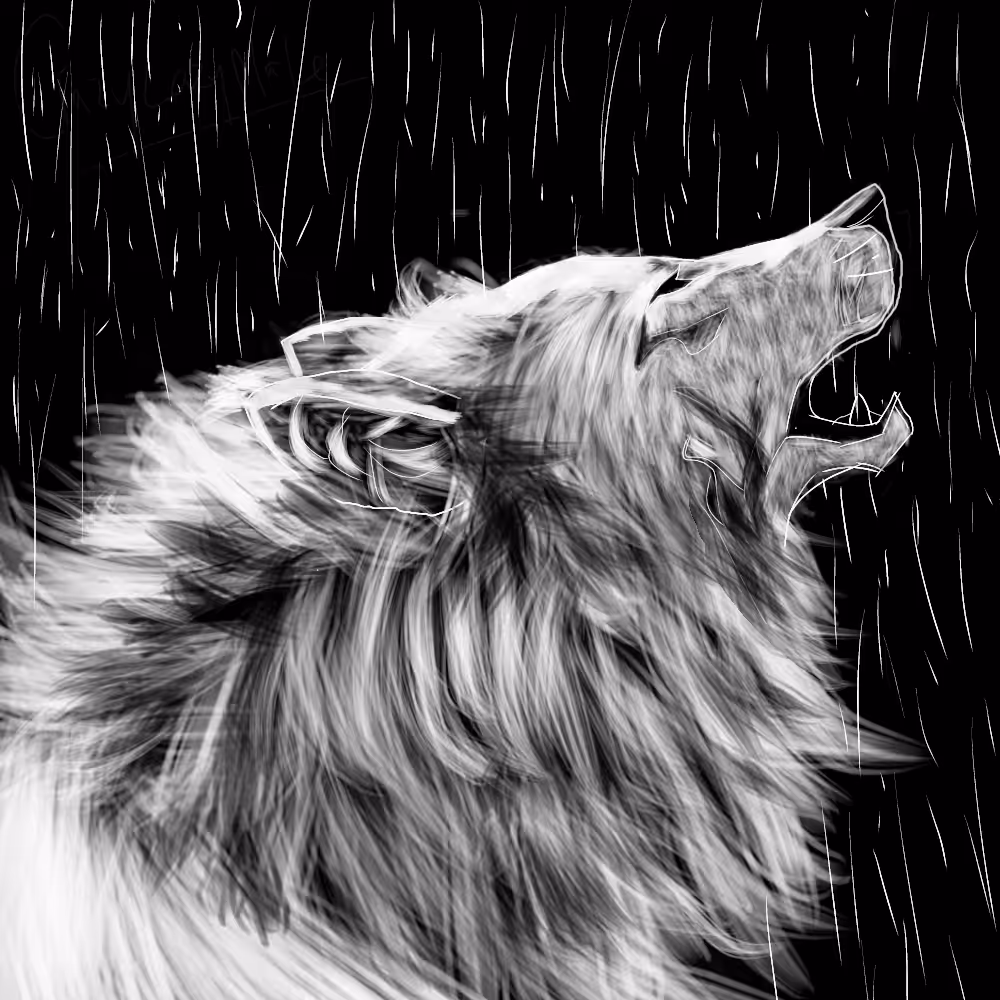 The wolf in the rain