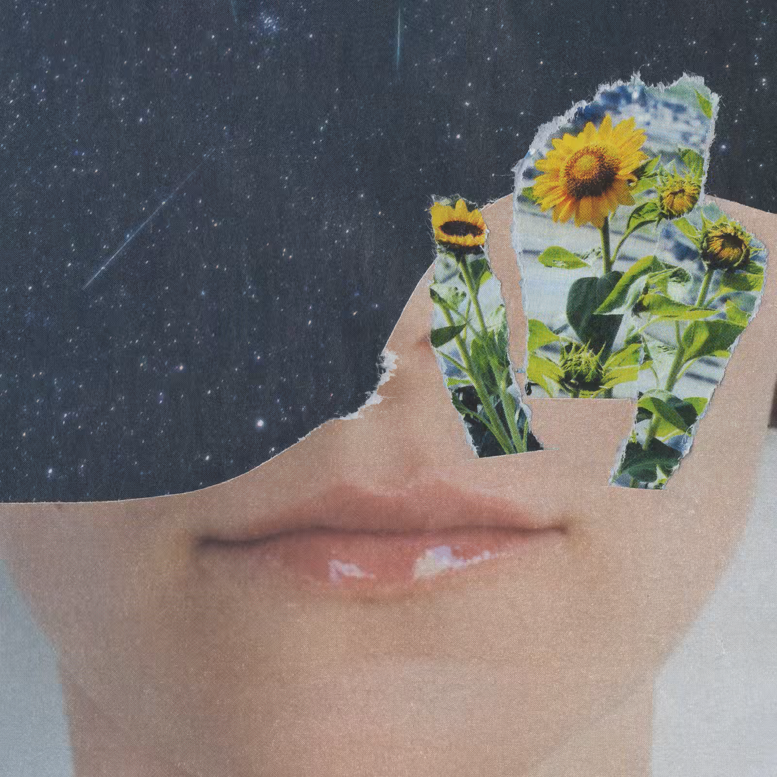 1mouth analog #132