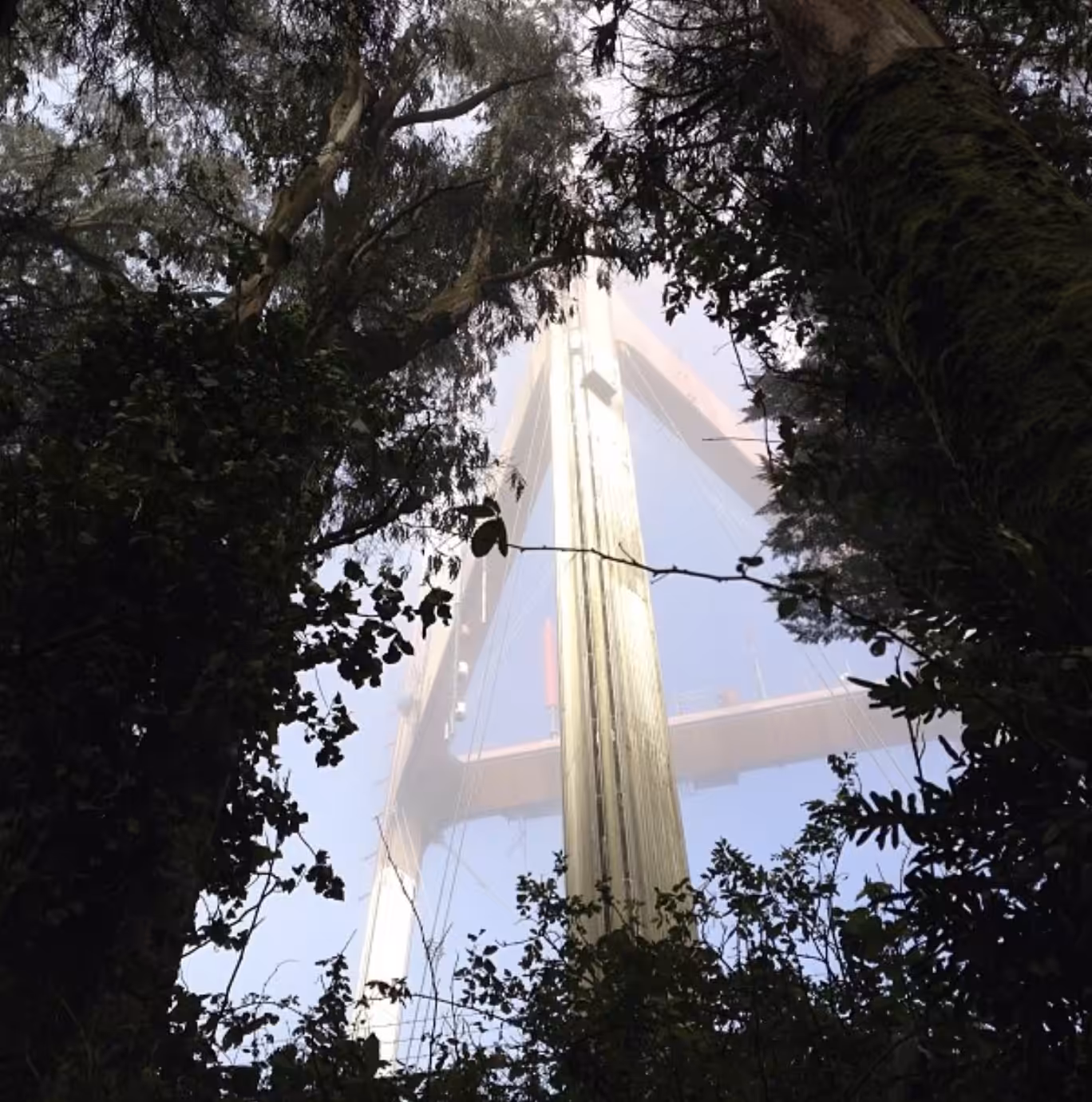 sutro tower