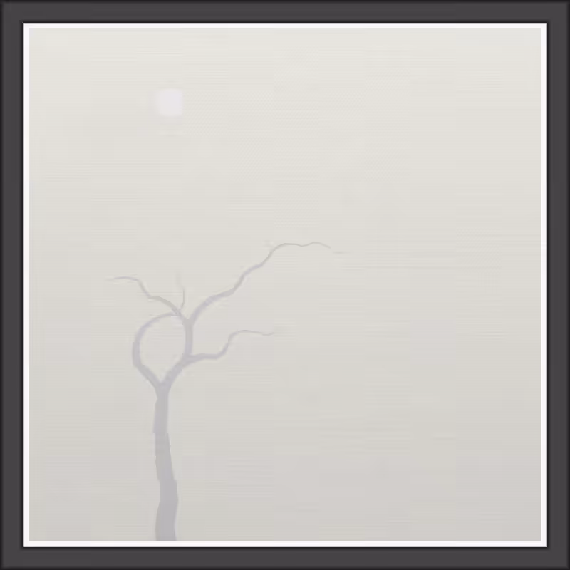 The Foggy Trees #22