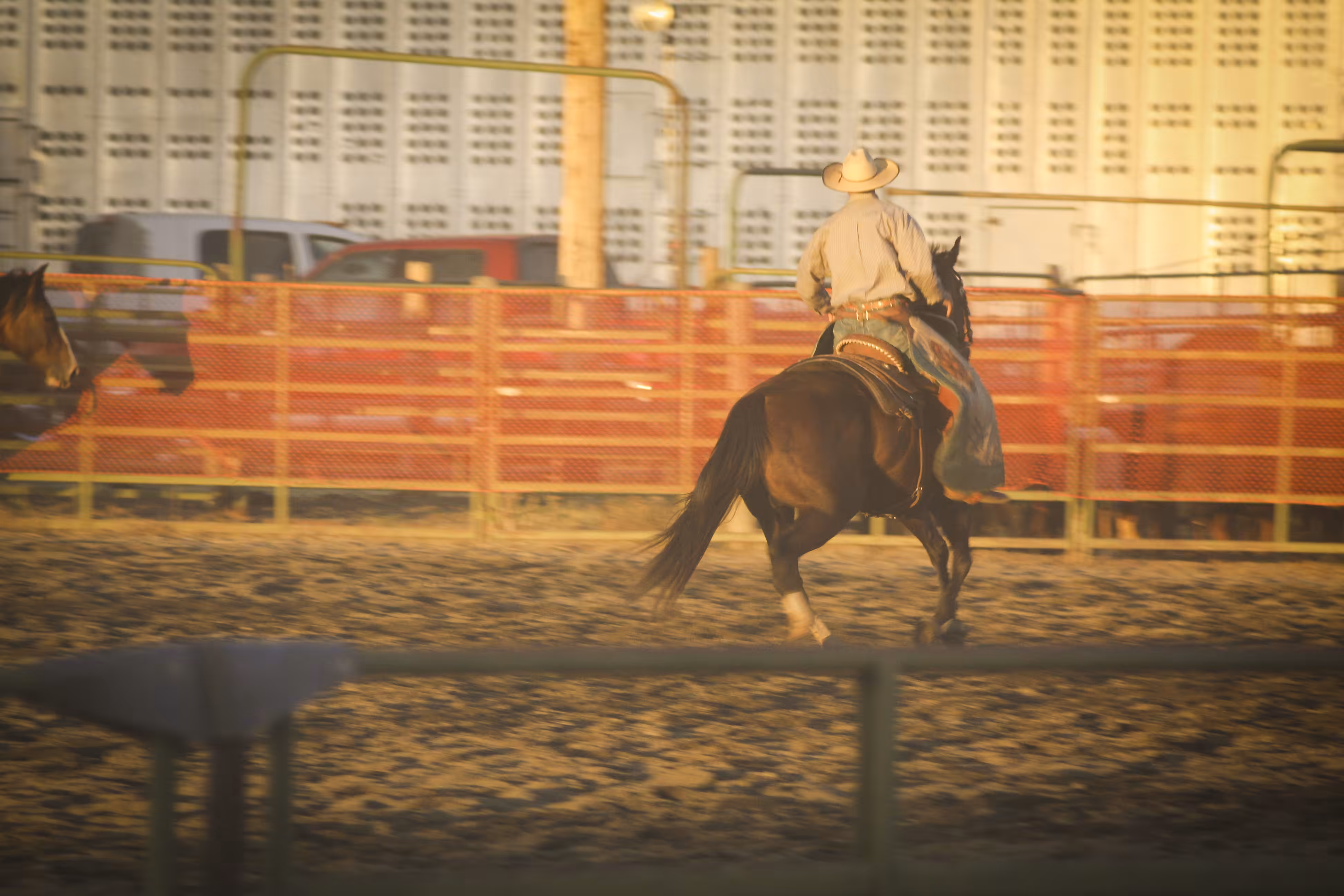 IRL Rodeo!  (1 of 5)