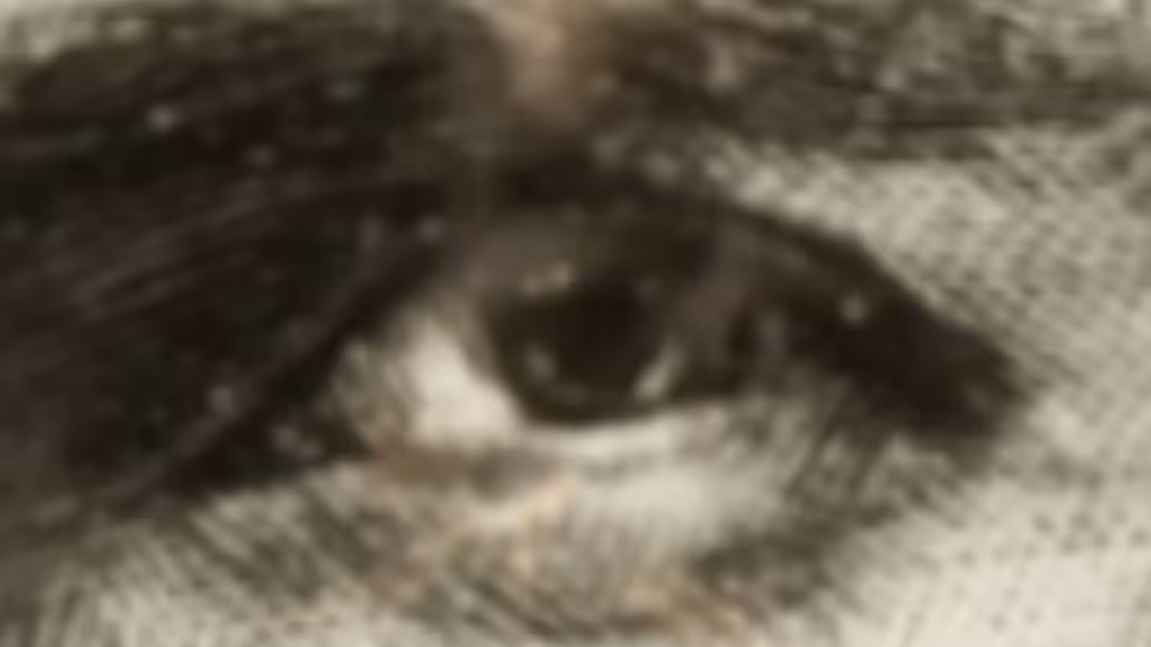 3 6 9