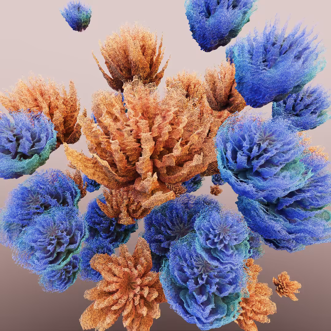 rosarium #173