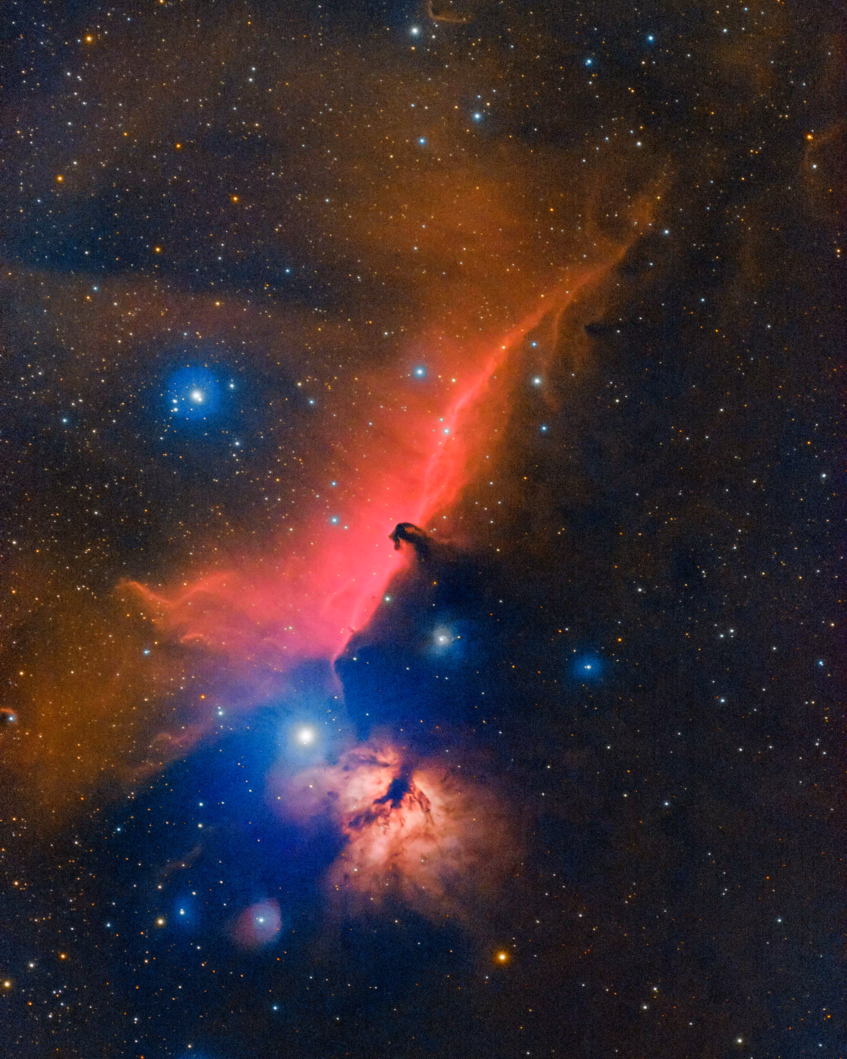 The Horsehead Nebula