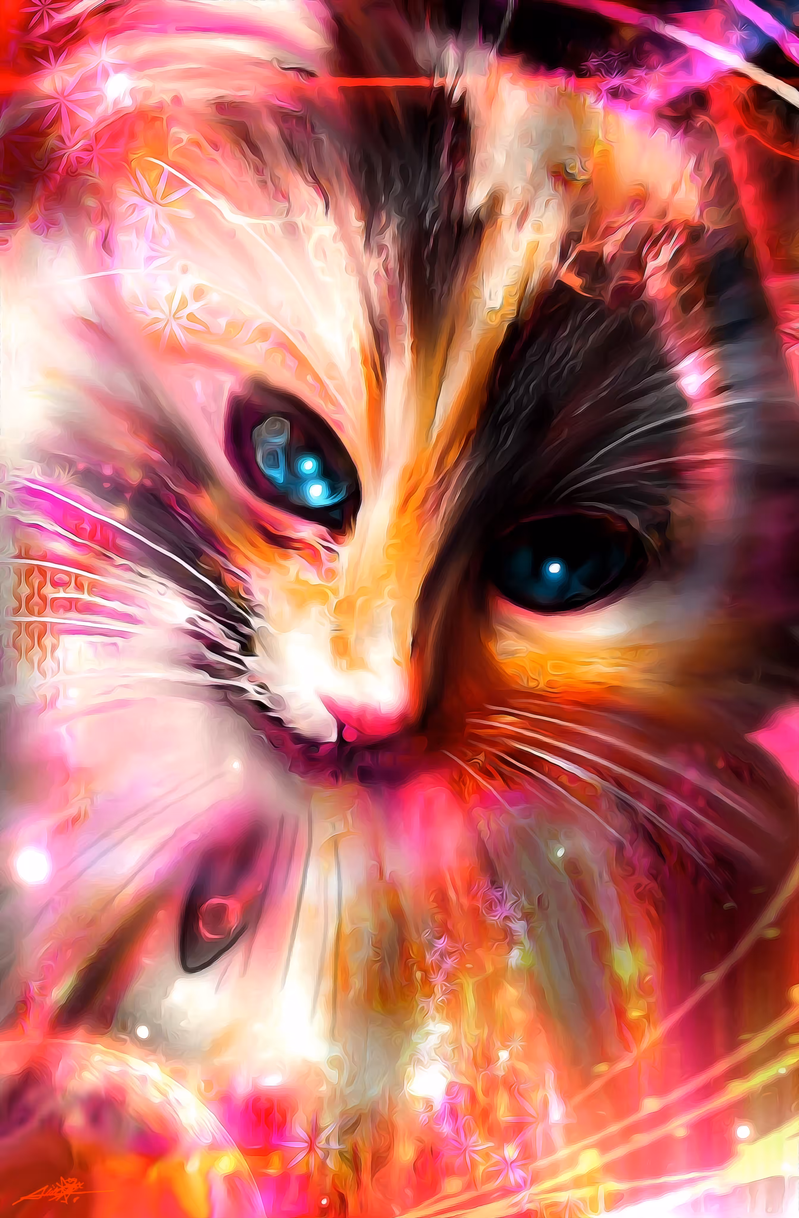 Clío the Cat