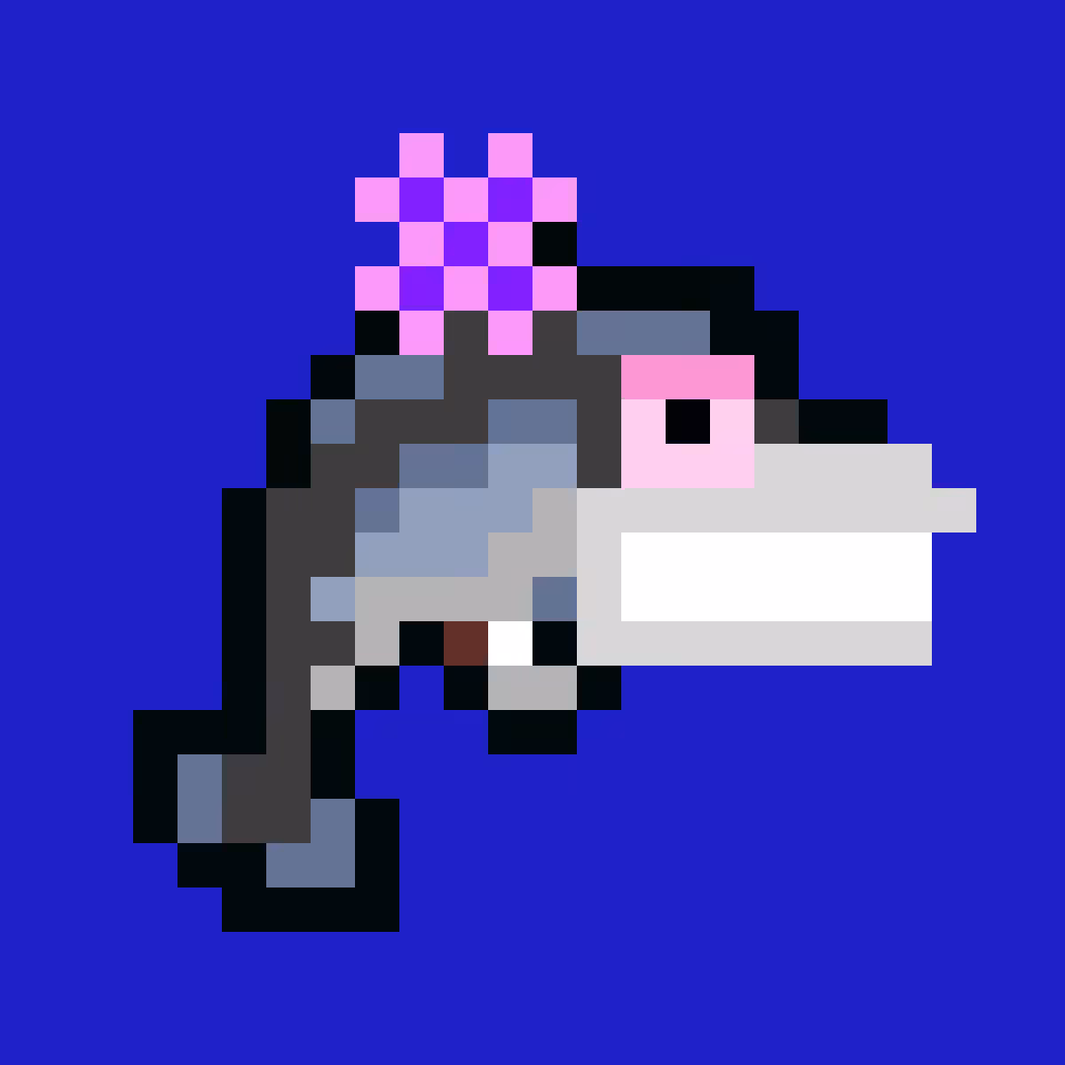 Laughin' Dolphin #013
