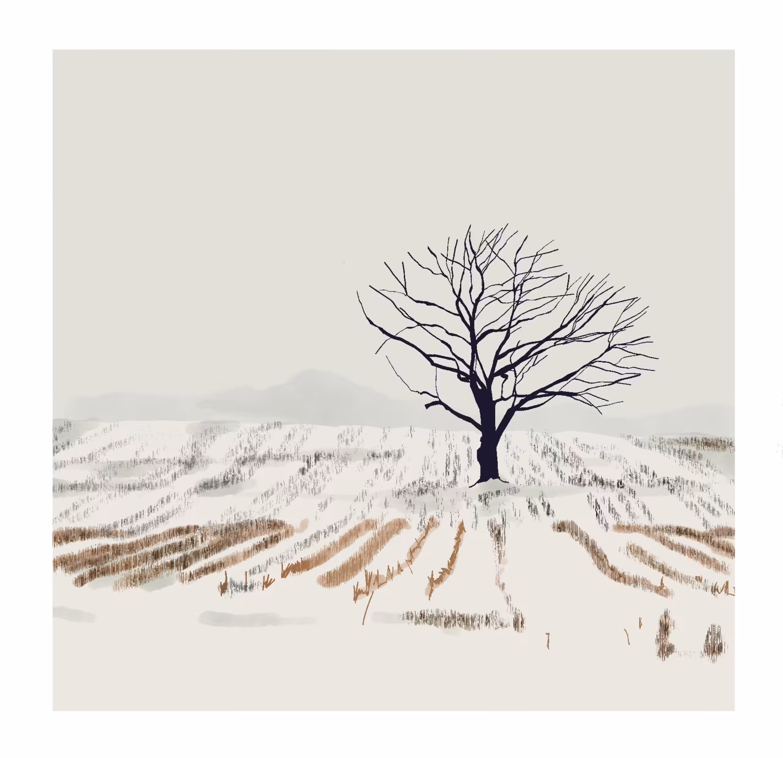 Quiet Fields XIII