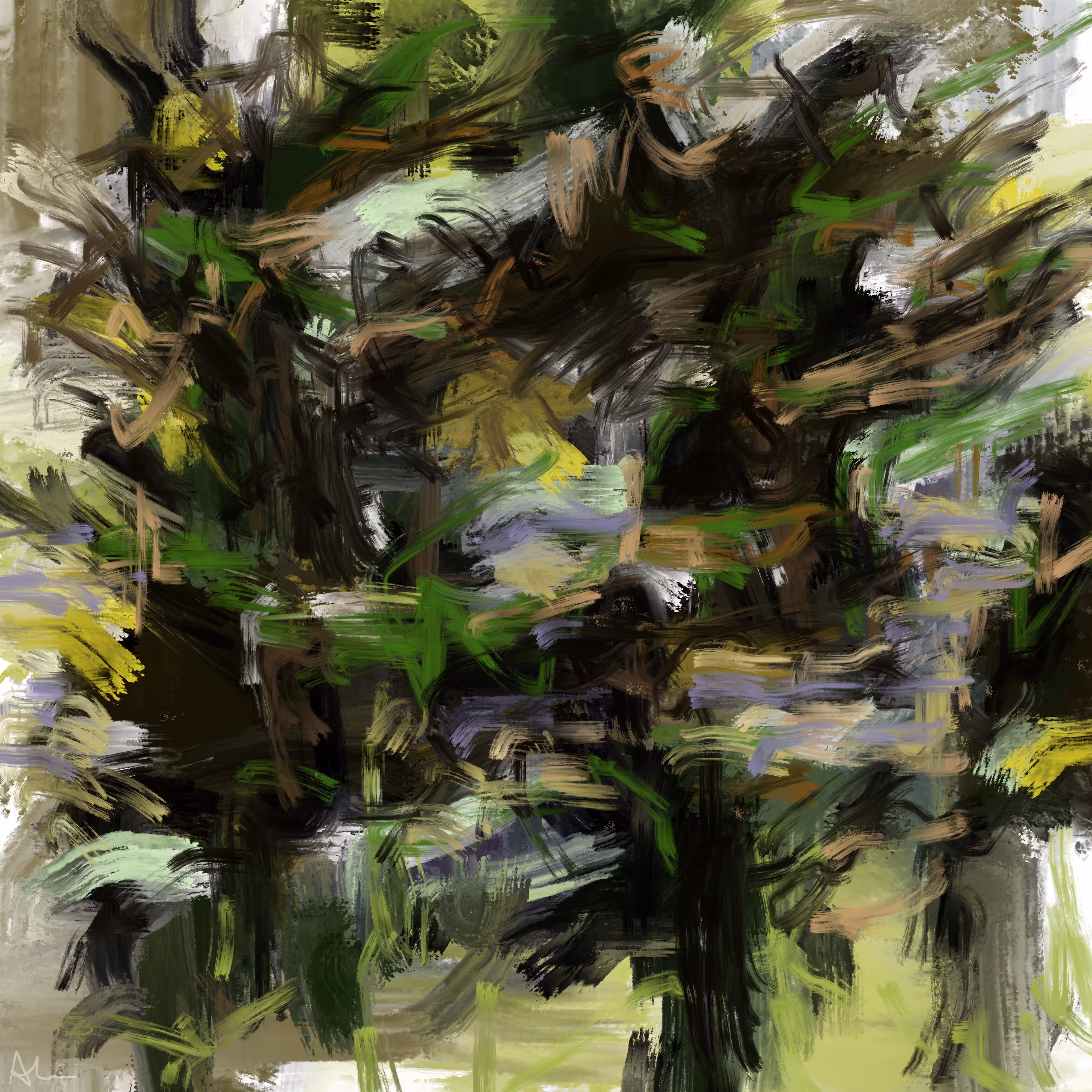 Trees In Park