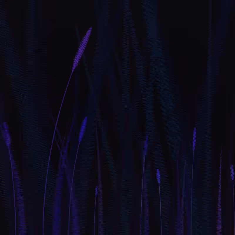 ZigZag Garden #54