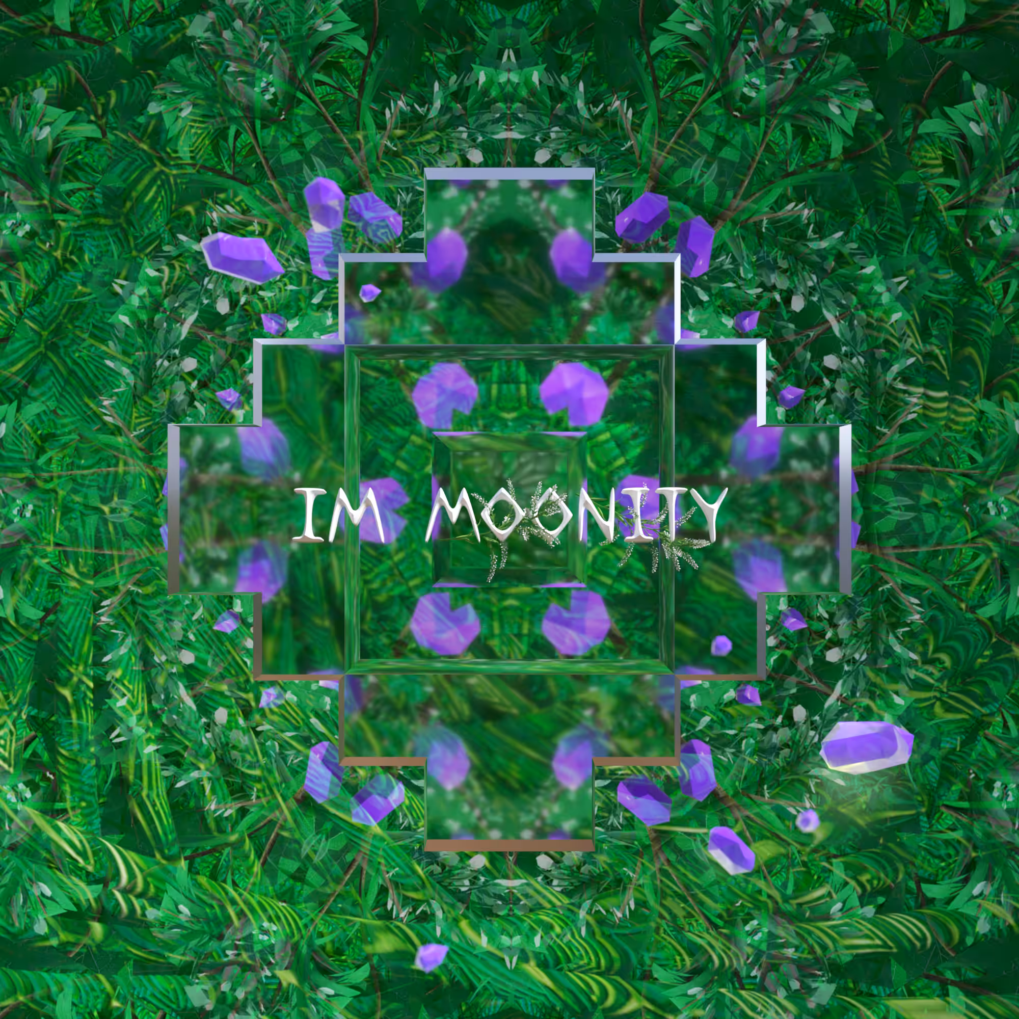 IM MOONITY