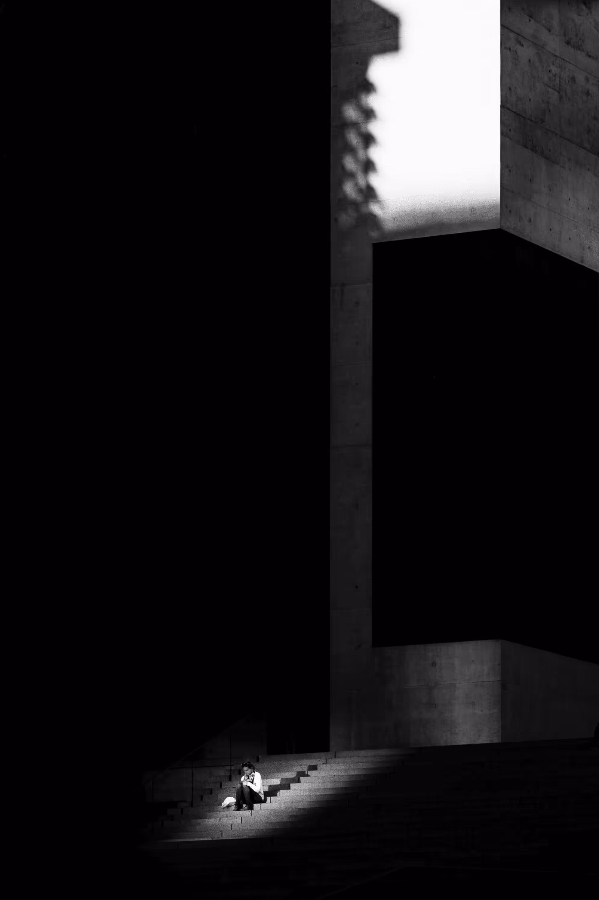 Chasing Shadows