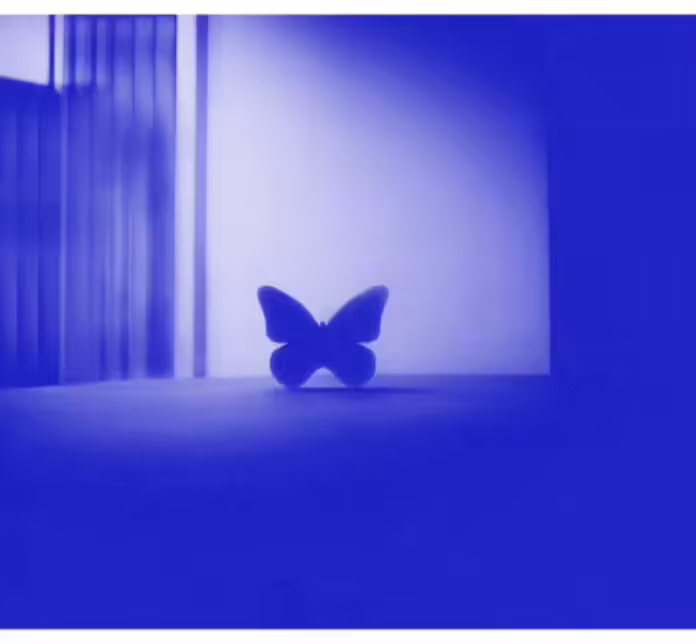 JoeS volume: #2 Broken blue butterfly & JoeS volume