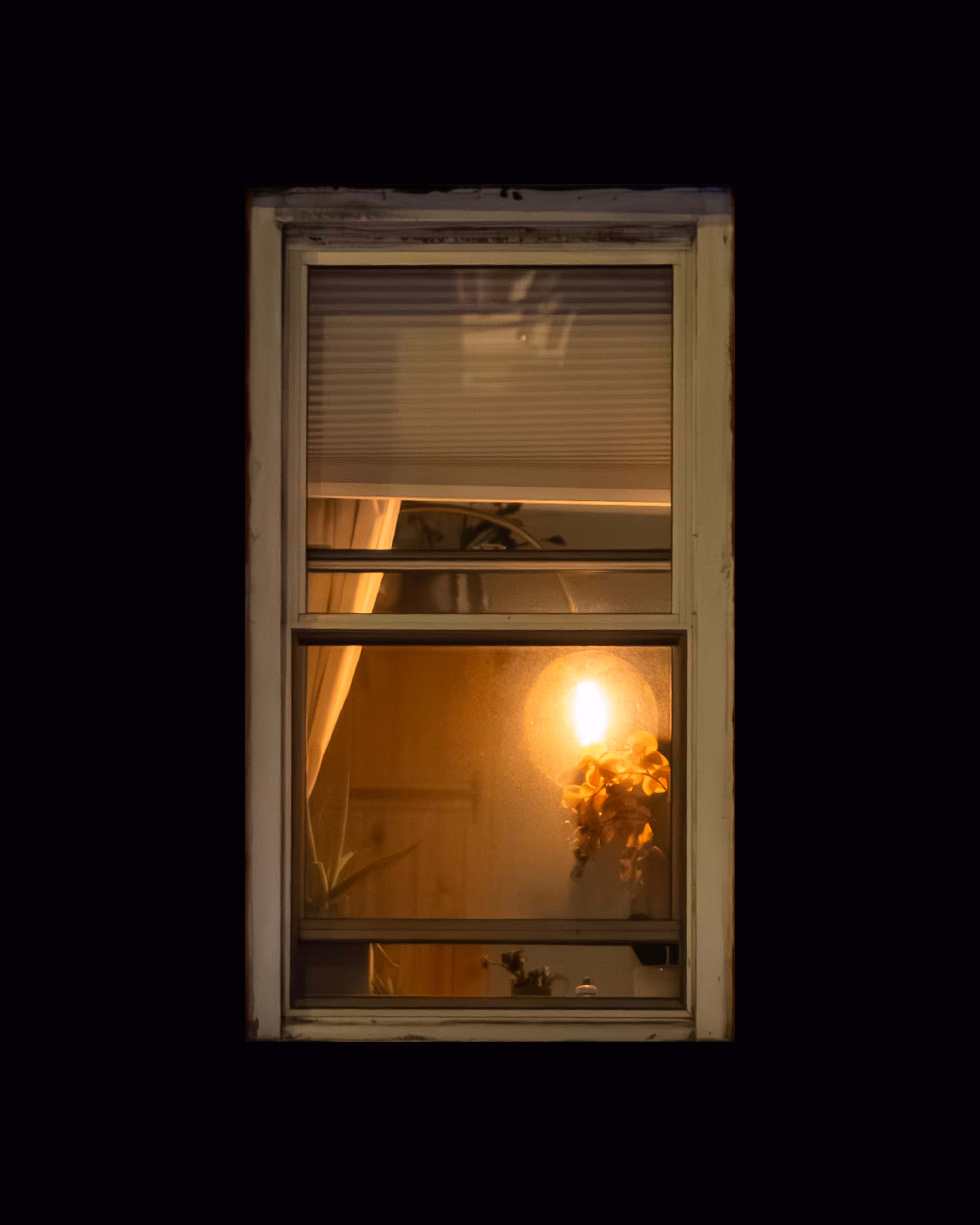 WINDOWS // NYC: WINDOW 582