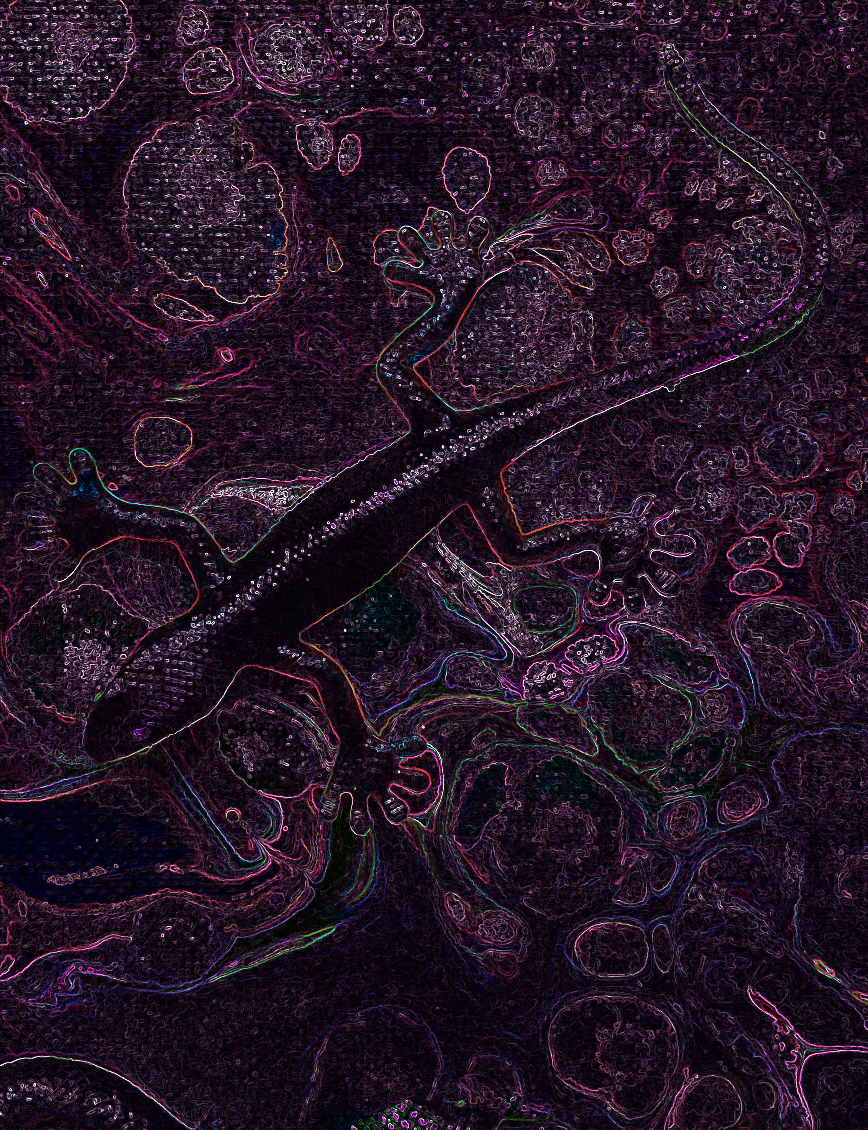 Neon Chameleon 3   @ArtByLeClaireD1