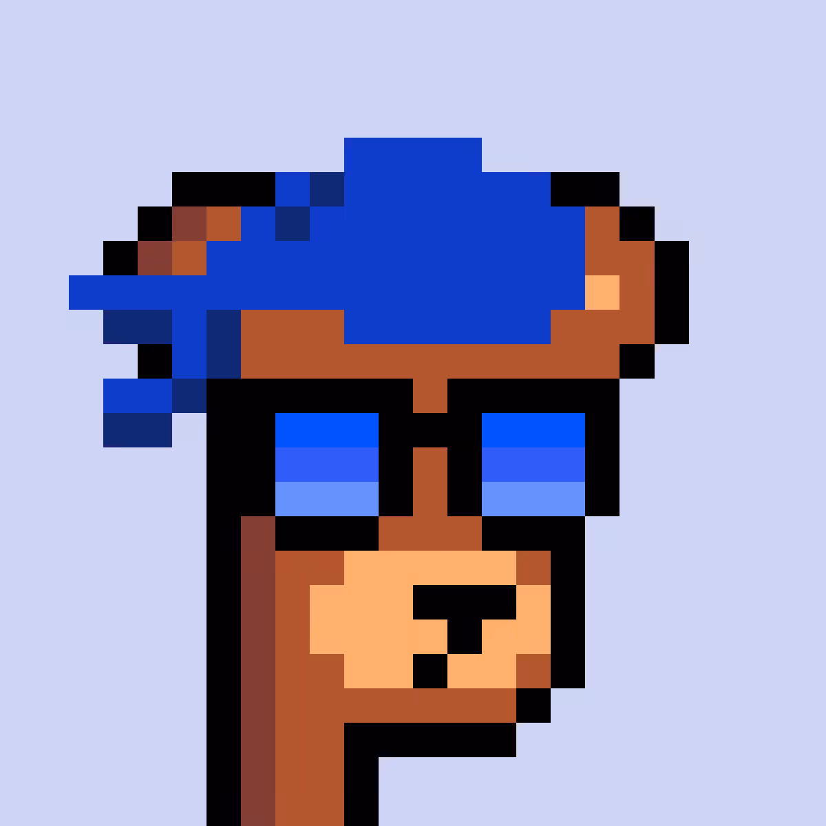 BearPunks #1065
