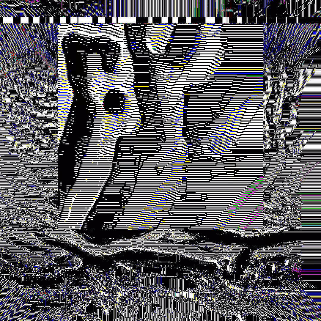 nearest neighbor - genesis  #78