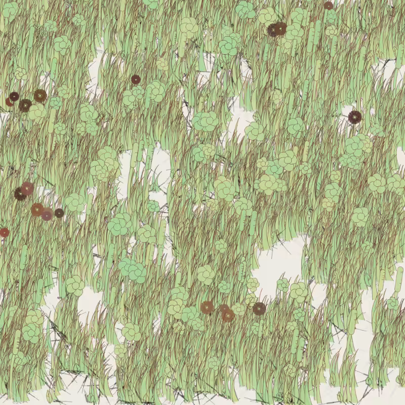 Petri 1500 #1171