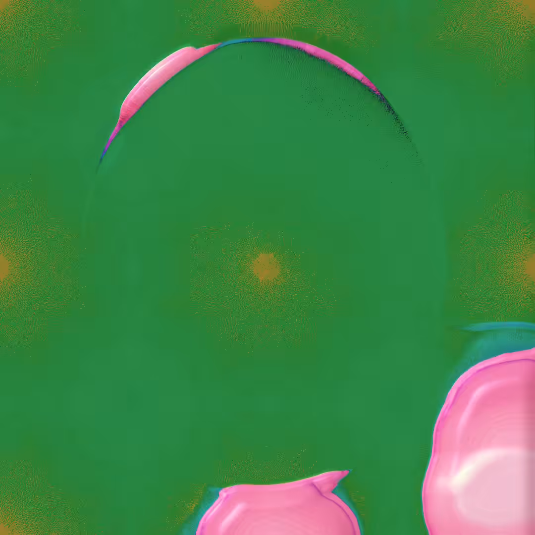 Turtle-Mantra