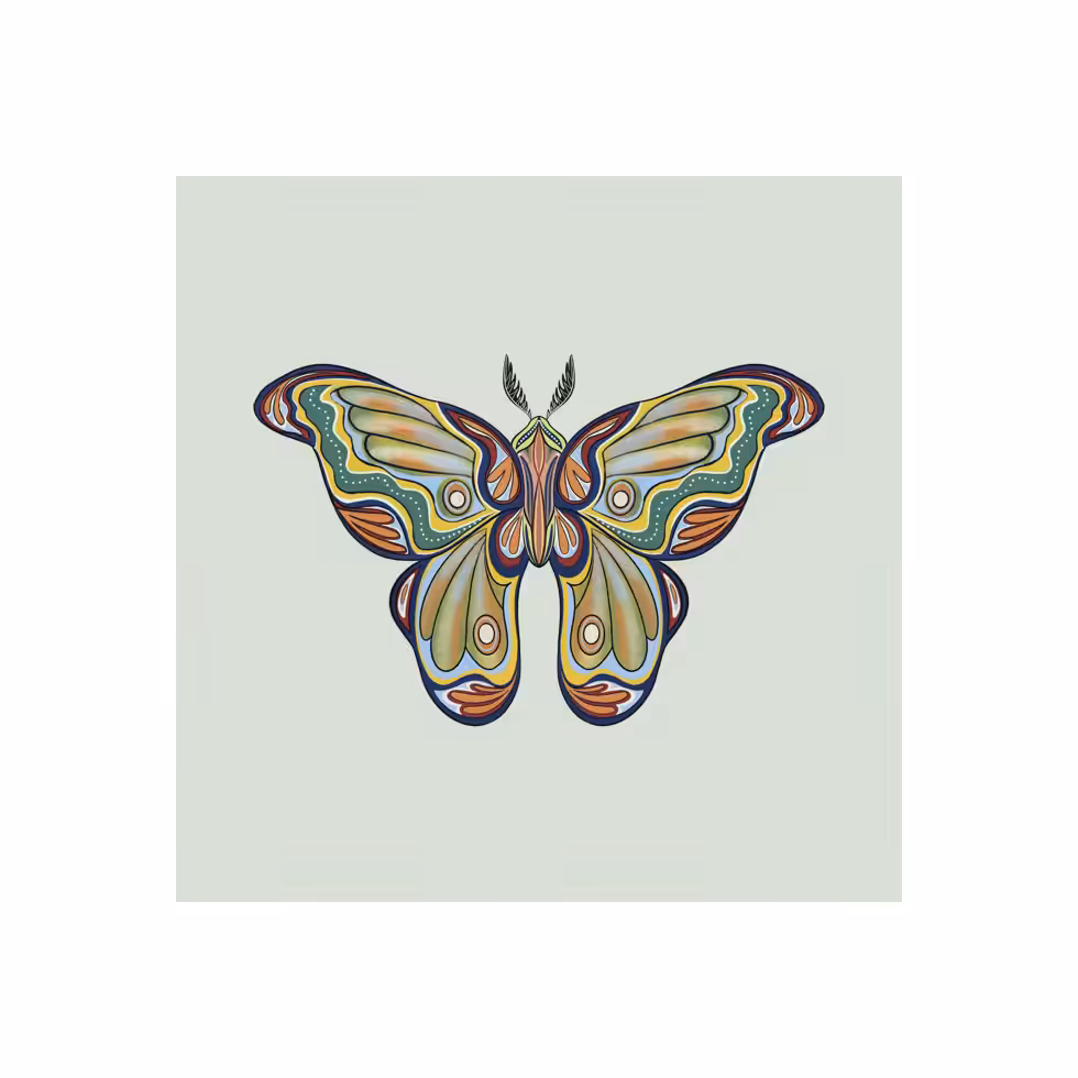 The Moth Experiment  #1